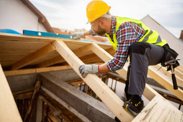 Best Roof Maintenance Services  in Mitchell, IL