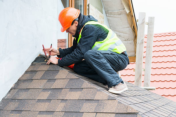 Best Roof Maintenance Services  in Mitchell, IL